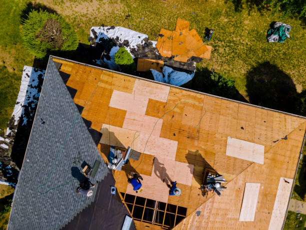Best Roofing Contractor Near Me  in Lineville, AL