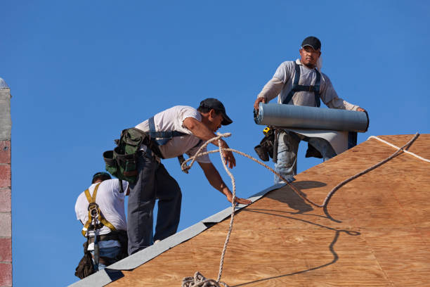 Best Residential Roofing Contractor  in Lineville, AL