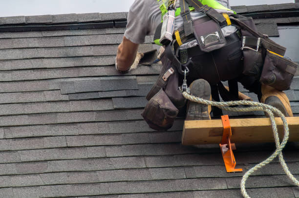 Best Roof Leak Repair  in Lineville, AL