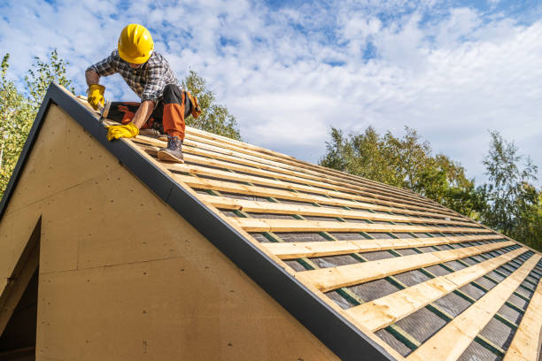 Best Roof Repair Specialists  in Lineville, AL